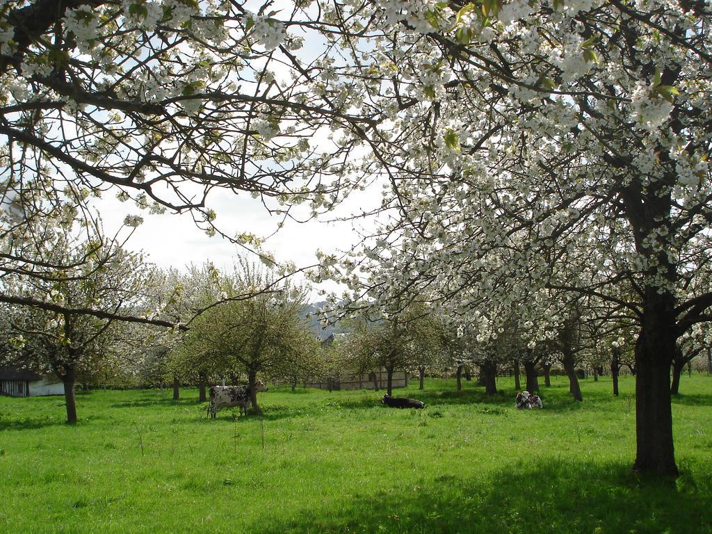 Chambres D'Hotes Au Temps Des Cerises Jumieges Bagian luar foto